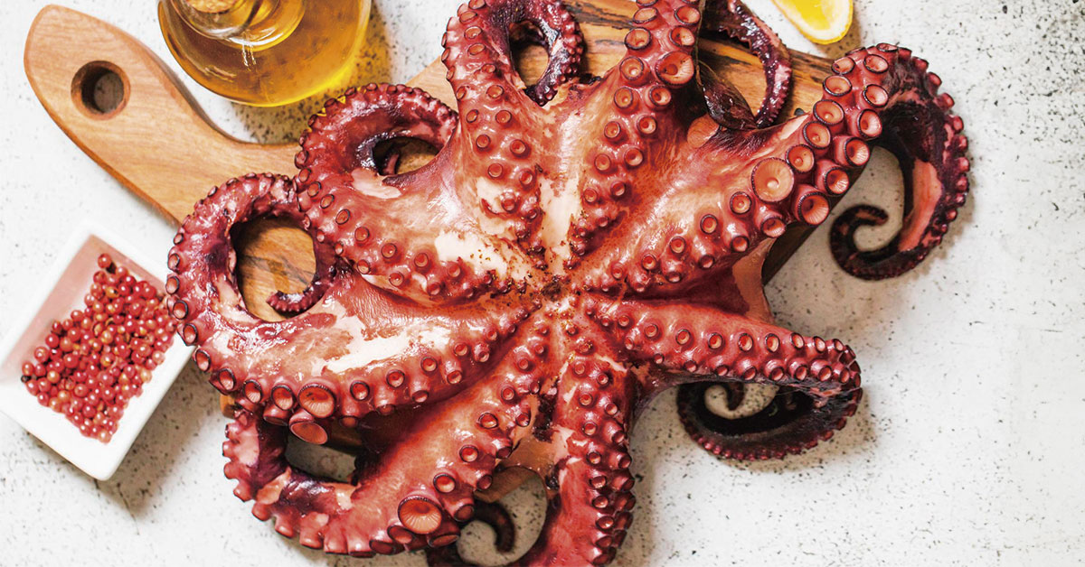 Octopus with olive oil