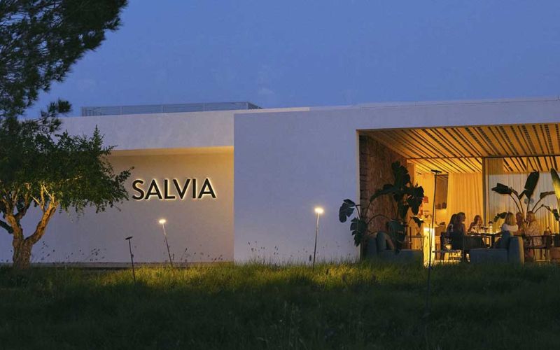 Salvia
