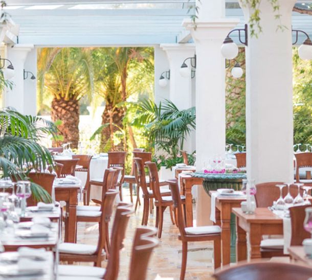 Delicias culinarias en el ambiente único de Casa Colonial