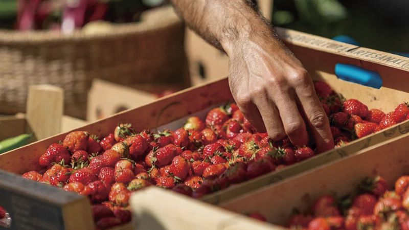 Where to get the best local produce in Ibiza?